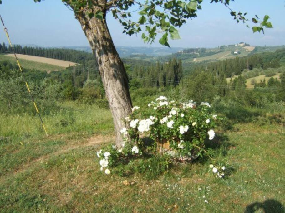 La Casina Nel Chianti Villa Strada in Chianti Exteriör bild