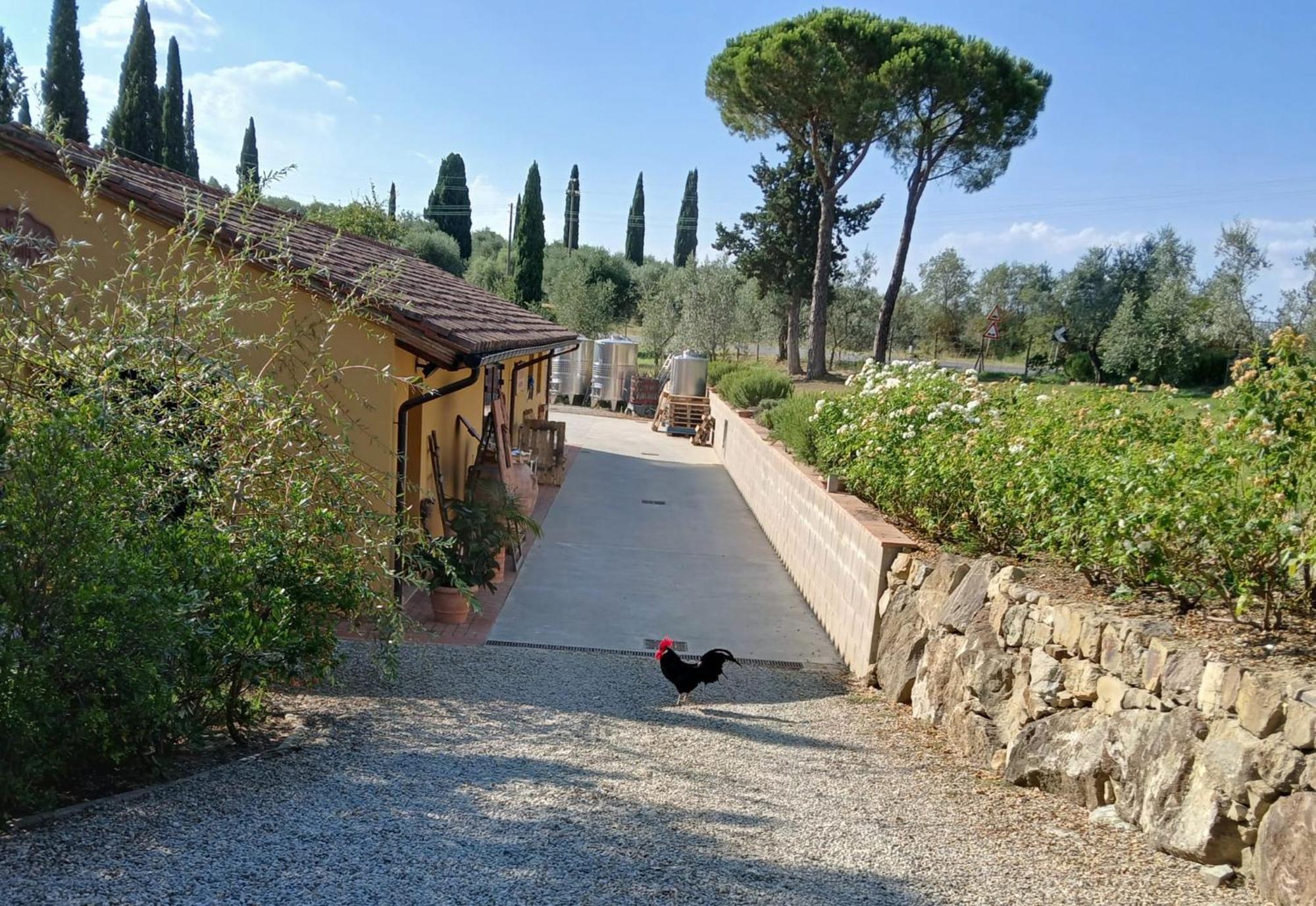 La Casina Nel Chianti Villa Strada in Chianti Exteriör bild