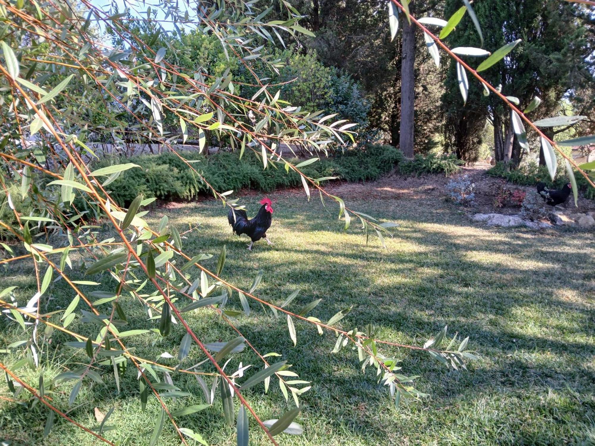 La Casina Nel Chianti Villa Strada in Chianti Exteriör bild